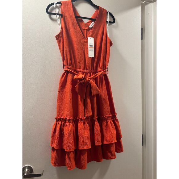Calvin Klein Belted Ruffle Hem Gauze Dress in Clay (Rust Orange) Size 2 NWT - Picture 1 of 5